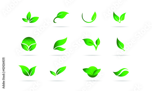 Set of green leaves eco friendly design elements. Nursery Store Concept Green sprout green leaves symbol vector icon set.