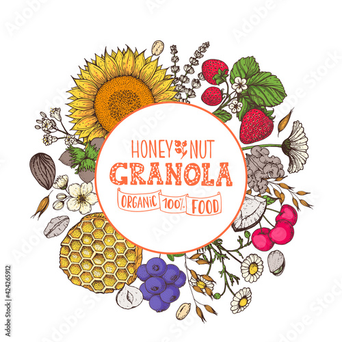 Granola illustration. Breakfast label. Oat flakes , berries, fruits and nuts. Breakfast top view frame. Morning food menu design. Hand drawn vector illustration.