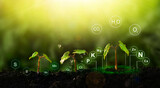  Fertilization and the role of nutrients in plant life. Plants on sunny background with digital mineral nutrients icon.
