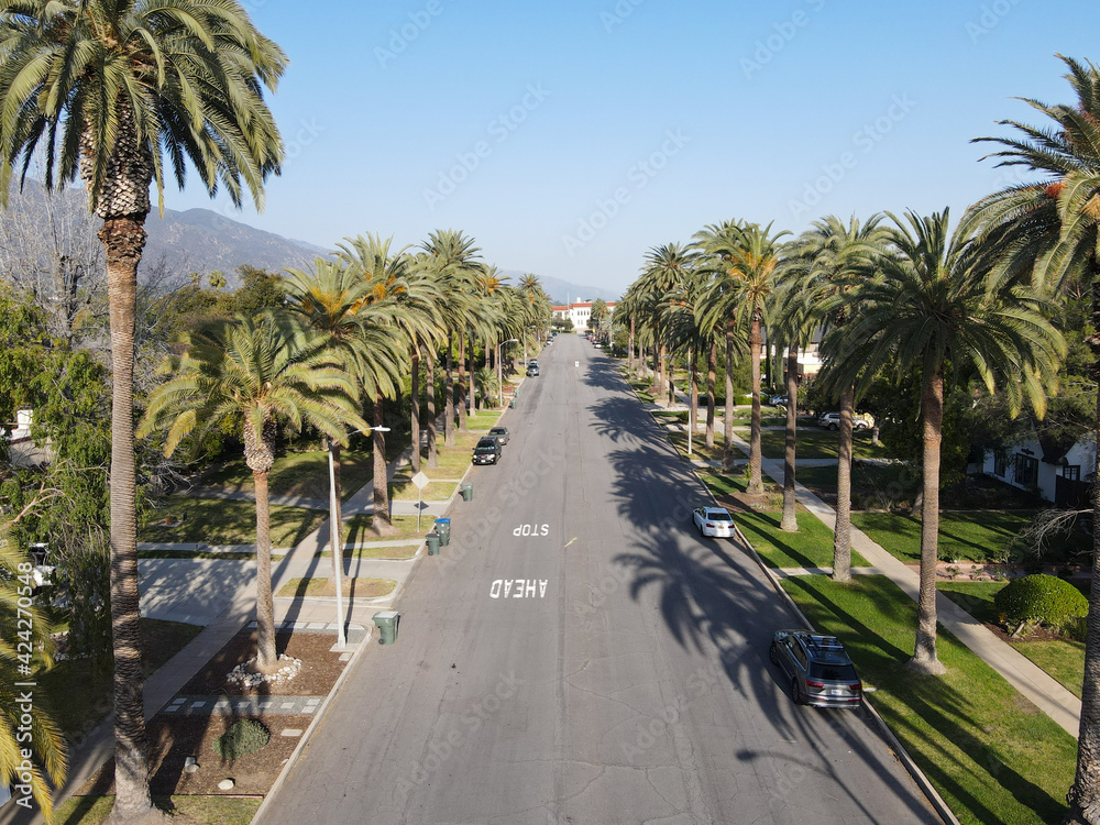 Aerial view of palm tree lined Street in Pasadena neighborhood in northeast of downtown Los Angeles, California, USA