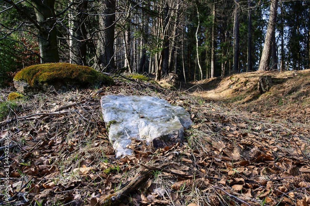 Obraz premium Large mineral quartz in the forest.