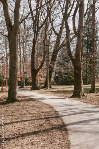 Path between the trees leading to the city centre from a quiet forest park