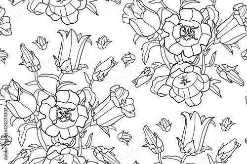 Floral seamless pattern with bell-flower