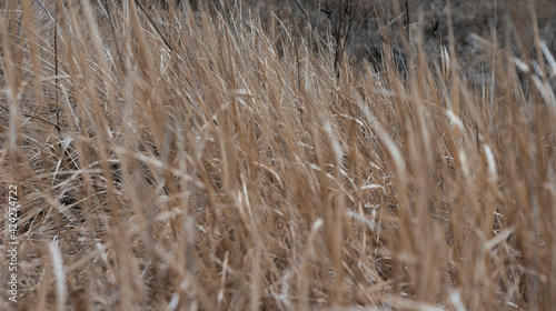 Clay mountain with grass