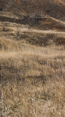 Clay mountain with grass
