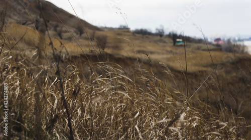Clay mountain with grass