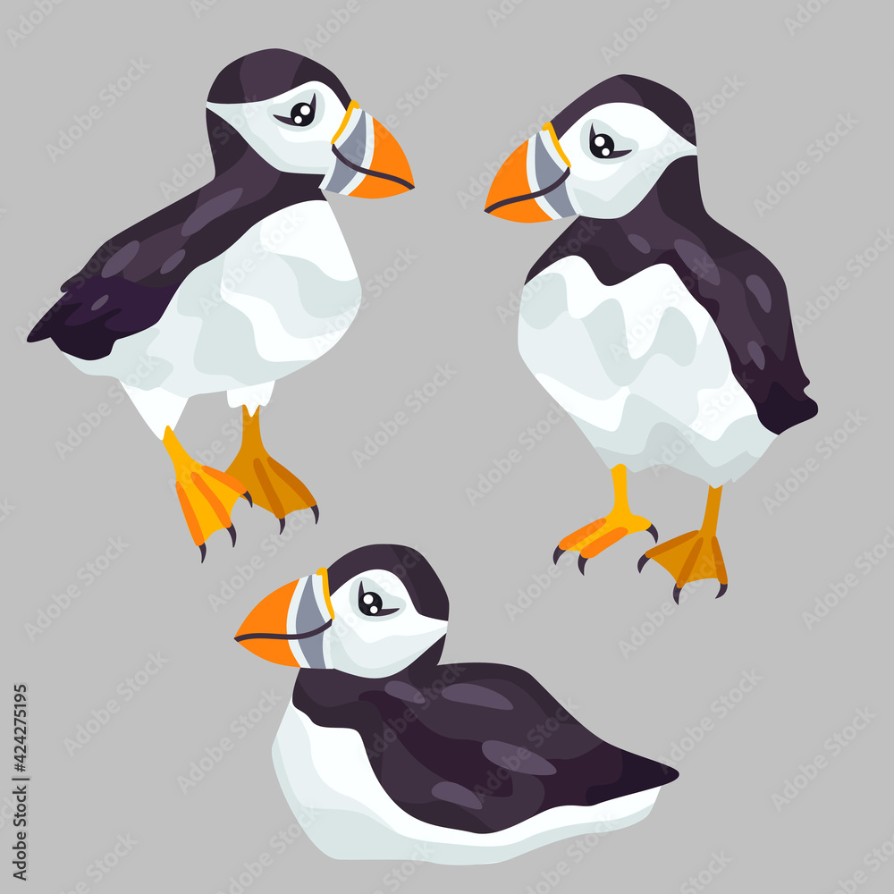 Obraz premium Cute puffins vector flat illustration.