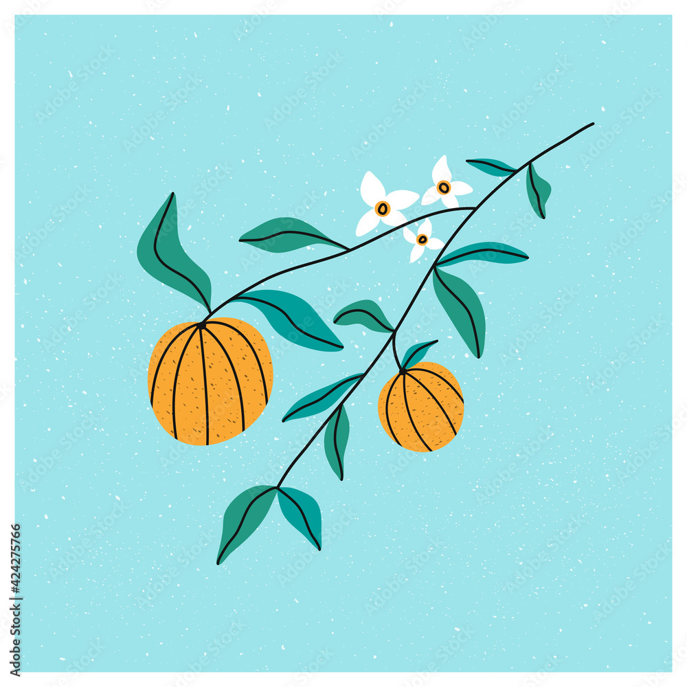 Vector illustration of tangerine or orange, citrus fruit branch with blooming white flower. Cartoon hand drawn style. 