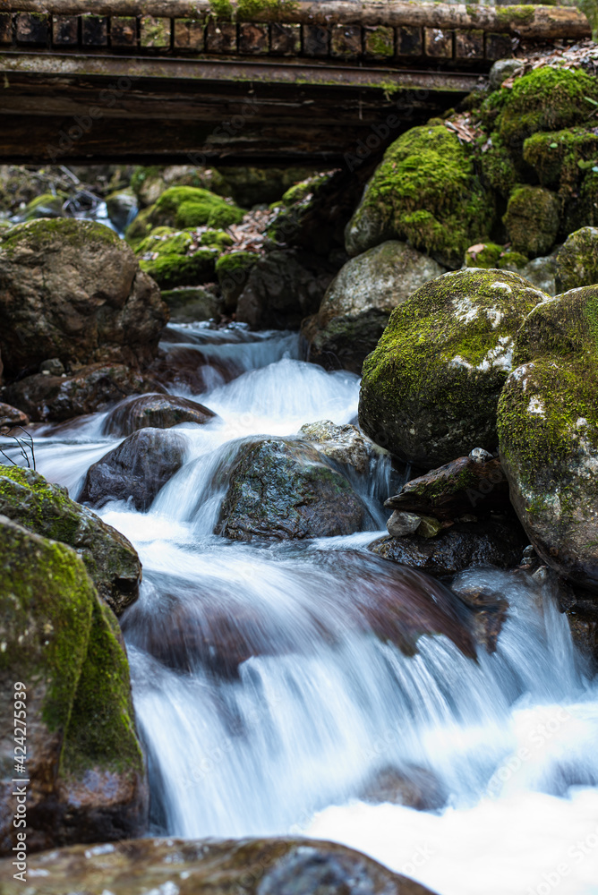Fototapeta premium Wasserfall Wald Steine Waterfall Wood 