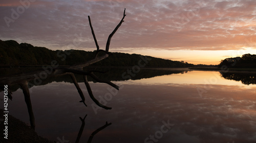 River Hamble at Sunrise with woods in the background