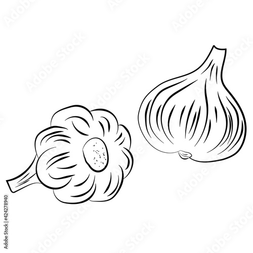 Garlic hand drawing icon isolated on white background. Vector
