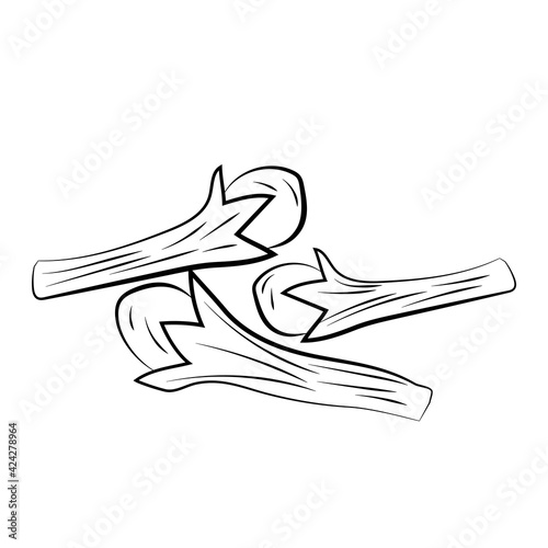 clove seasoning hand drawing icon isolated on white background. Vector