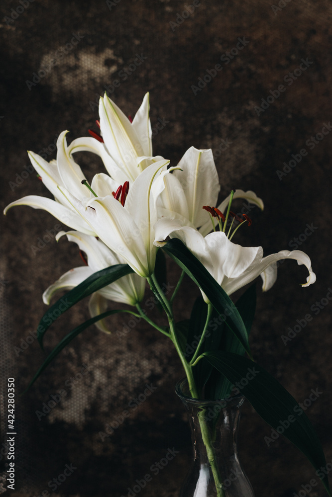 White Lilies White Lilies