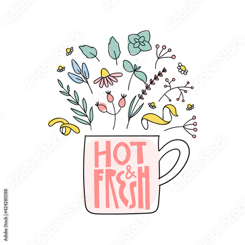 Hot and fresh herbal tea doodle print. Cup with lettering and herbs for natural organic drink.