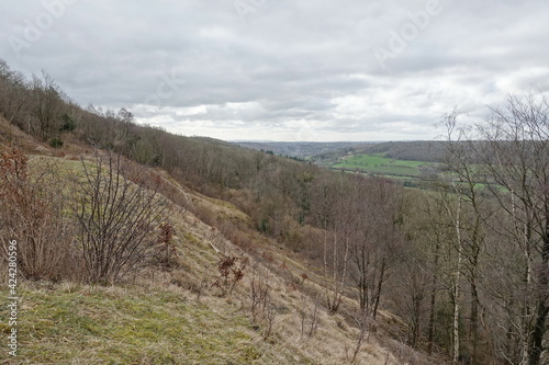 landscape in the mountains