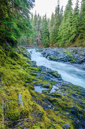 Majestic mountain river in long exposure with mountain background in Vancouver, Canada.