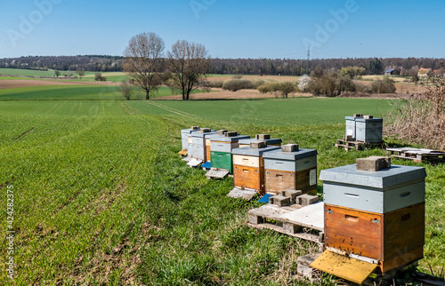 Bienenkästen am Waldrand im Frühjahr © focus finder