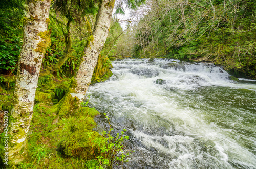 Majestic mountain river in long exposure with mountain background in Vancouver  Canada.