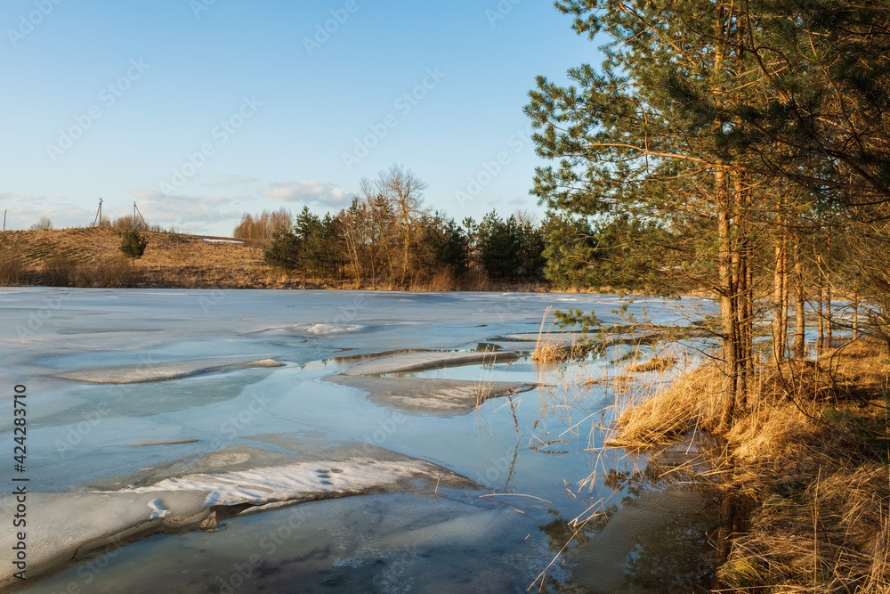 The coastline of a forest lake with dry grass and pine trees without snow. The last ice floes are floating in the lake. The lake is covered with ice melting in the sun The coastline of a forest lake with dry grass and pine trees without snow. The last ice floes are floating in the lake. The lake is covered with ice melting in the sun