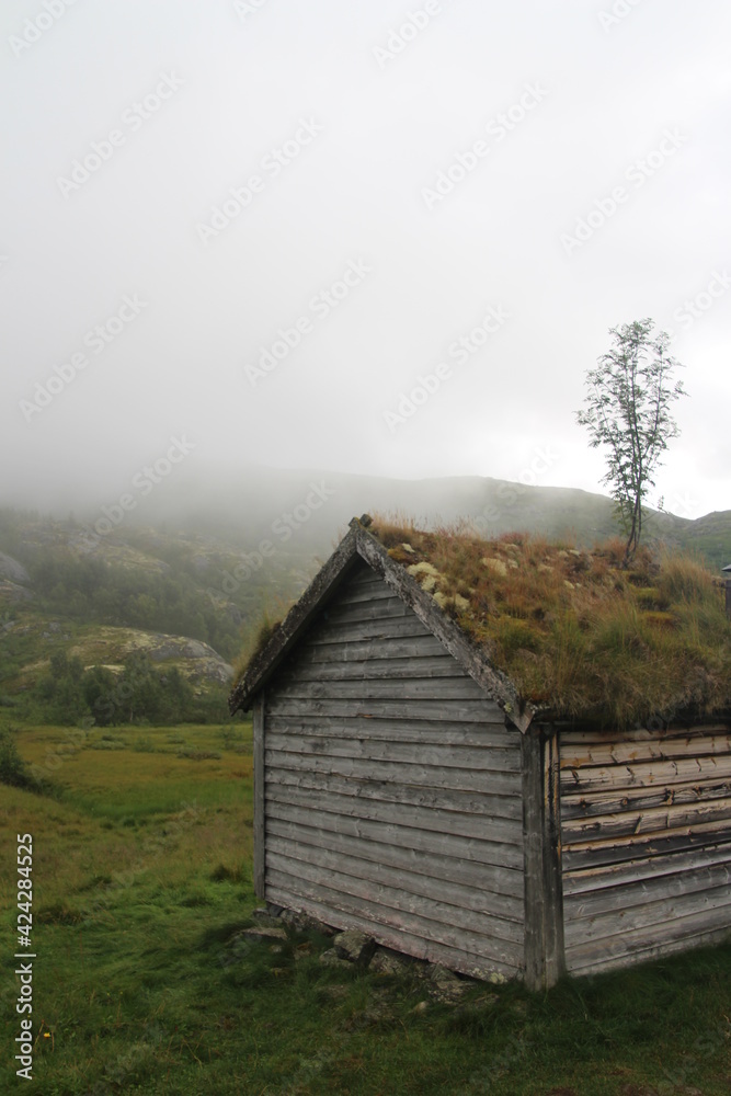 house in nature at the Hardangervidda national park, Norway