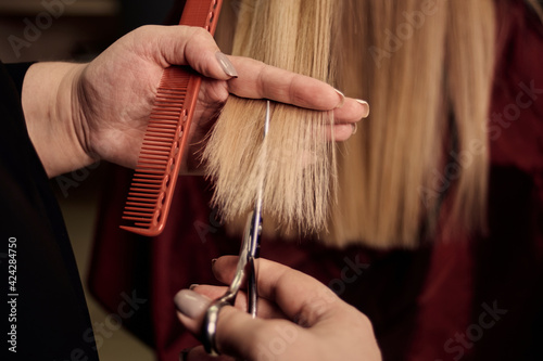 The hairdresser cuts the dry blonde ends of the hair. Beauty salon. Professional hair care.