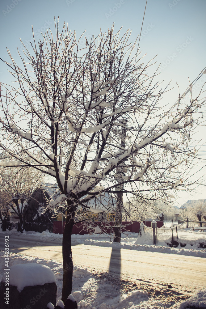Fototapeta premium Small streets and trees in town covered in snow