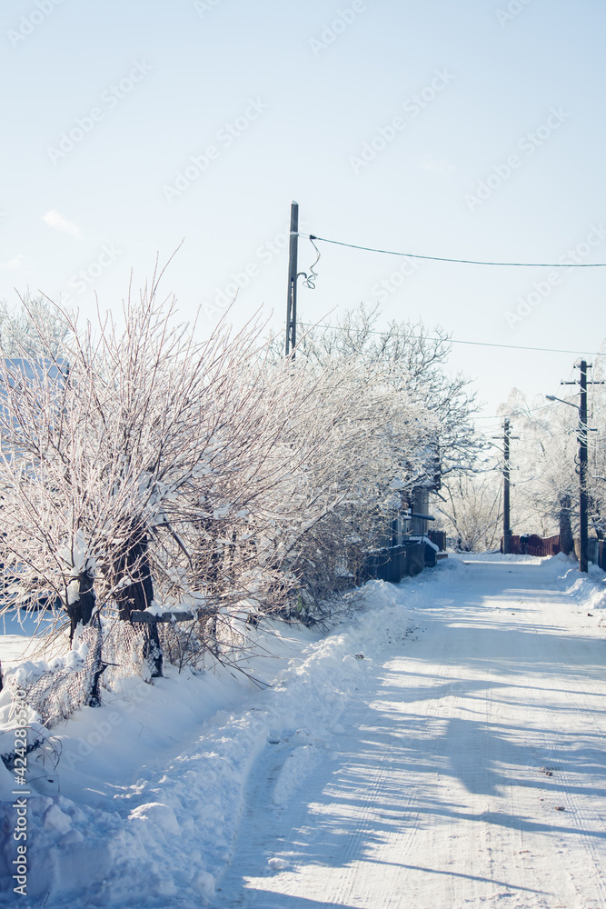 Small streets and trees in town covered in snow Small streets and trees in town covered in snow