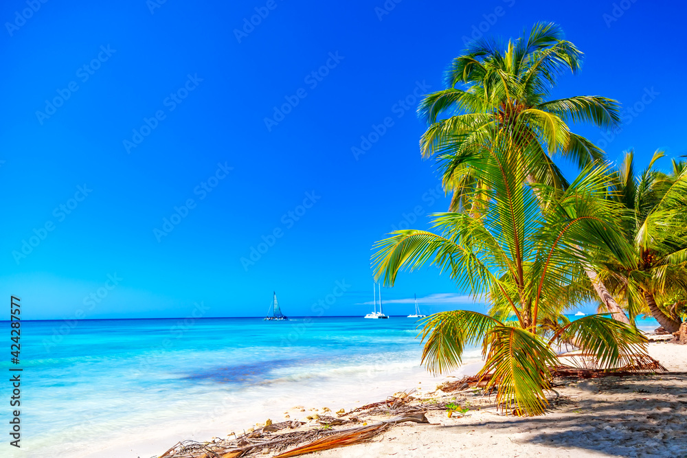 Fototapeta premium Summer vacation and tropical beach concept. Sandy beach with palms, sailboats and turquoise sea. Vacation island.