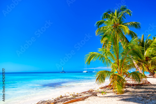 Fototapeta Naklejka Na Ścianę i Meble -  Summer vacation and tropical beach concept. Sandy beach with palms, sailboats and turquoise sea. Vacation island.