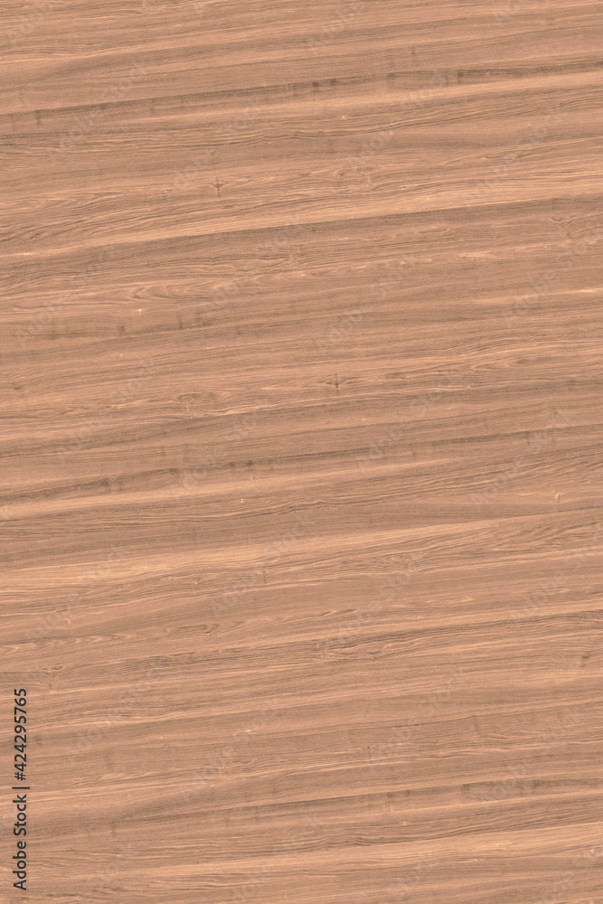 wooden tree timber background texture structure backdrop