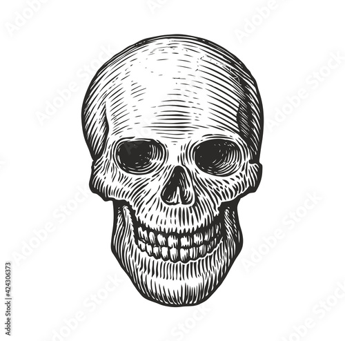 Human skull in vintage gothic style. Engraving sketch vector