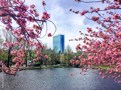 Boston in the Spring