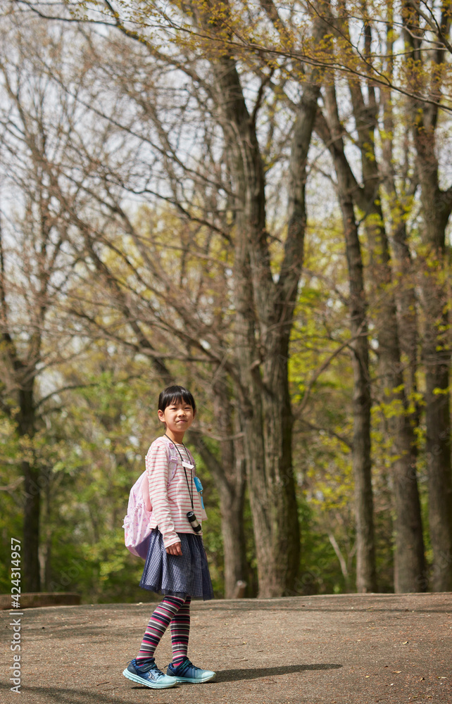 Fototapeta premium 春の公園で野外探検している可愛い子供の様子