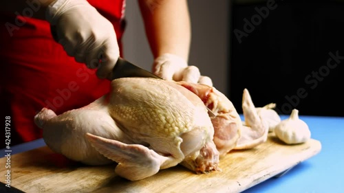 Female chef spatchcocking a big raw chicken on wooden cutting board, getting ready to be seasoned and cooked. Process of cooking shkmeruli - Georgian dish photo