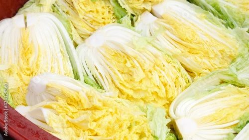 Salt cabbage to make kimchi

