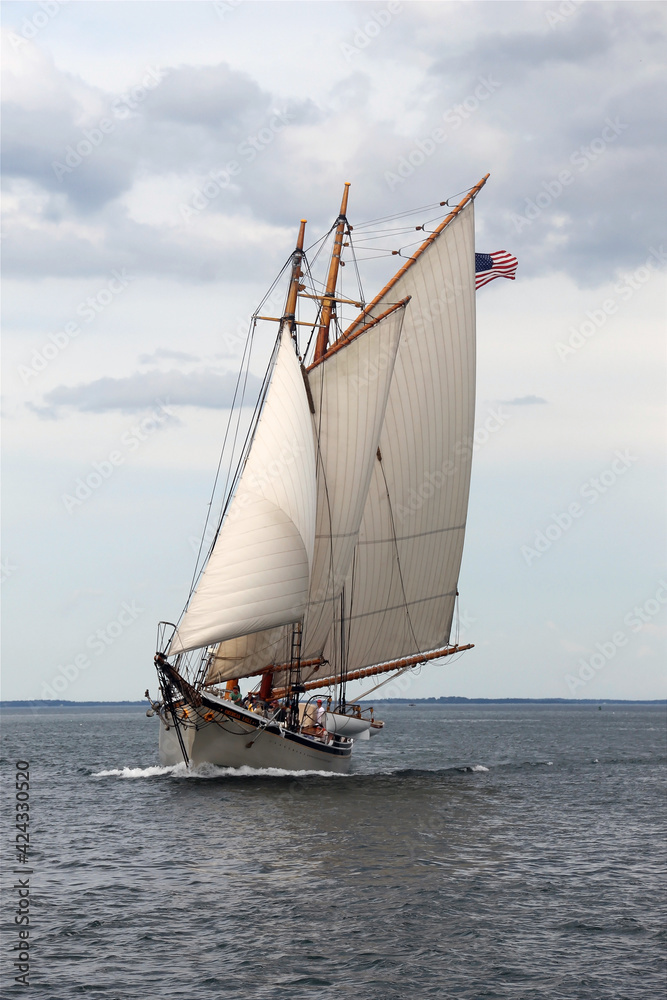 Obraz premium Schooner