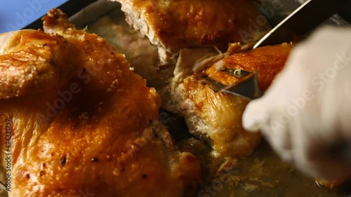 Female chef carves a big spatchcocked oven roasted chicken on a baking tray. Process of cooking shkmeruli - Georgian dish photo