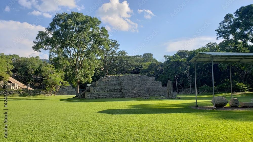 Fototapeta premium Desde Honduras