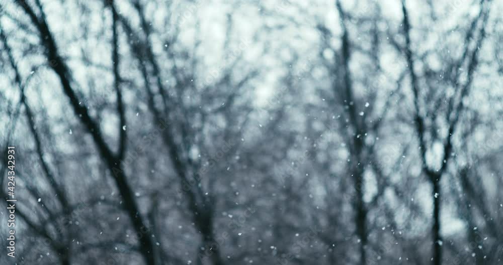 Falling snow on blurred background. Snow falling in slow motion. Winter snowfall. winter landscape Falling snow on blurred background. Snow falling in slow motion. Winter snowfall. winter landscape