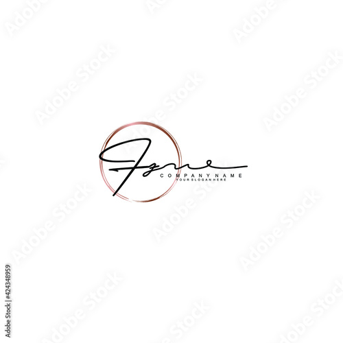 FZ Initials handwritten minimalistic logo template vector