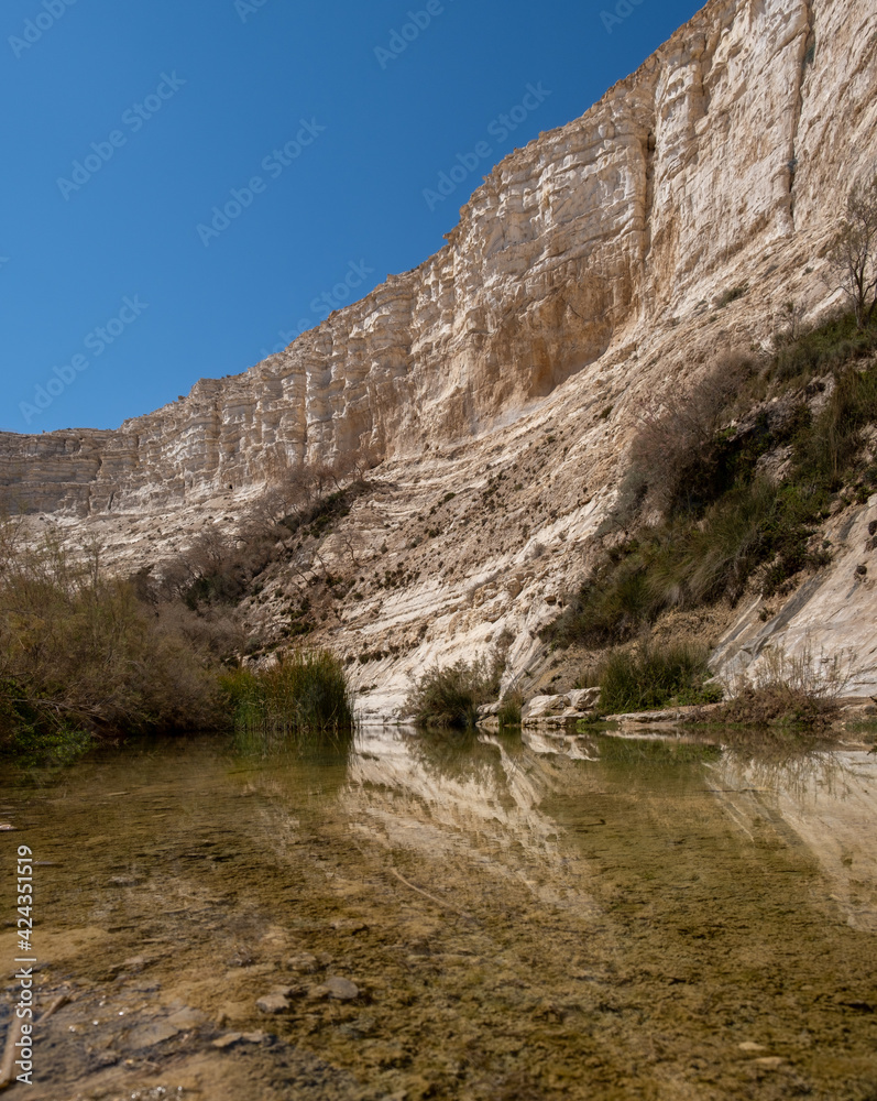 Large panoramic view of Ein Avdat - a canyon in the Negev Desert
