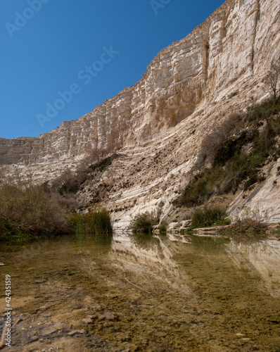 Large panoramic view of Ein Avdat - a canyon in the Negev Desert