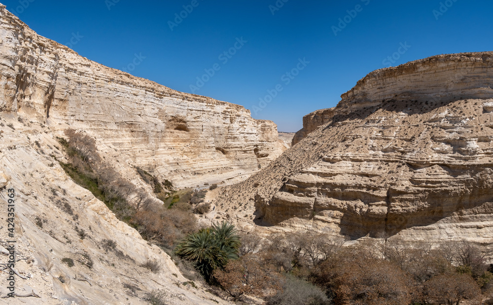 Large panoramic view of Ein Avdat - a canyon in the Negev Desert