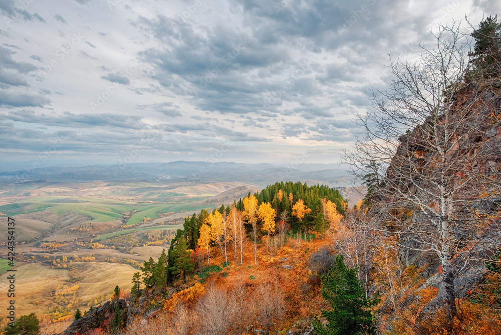 View of the valley of the autumn foothills from the ascent to Mount Babyrgan in the Altai mountains yellow trees