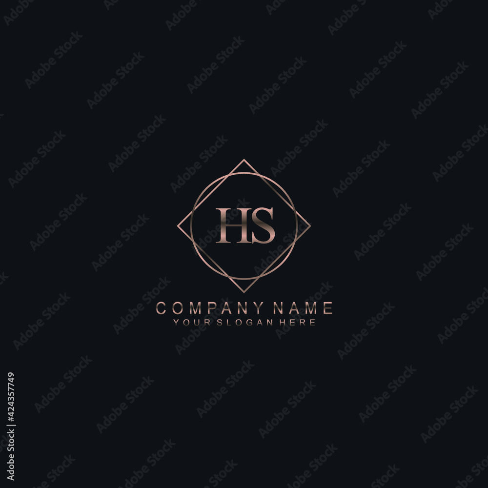 HS Initials handwritten minimalistic logo template vector