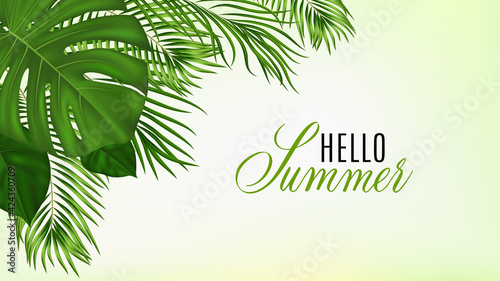 Summer tropical background with green palm leaves. Exotic botanical design with jungle plants for invitation, banner, poster. Vector illustration