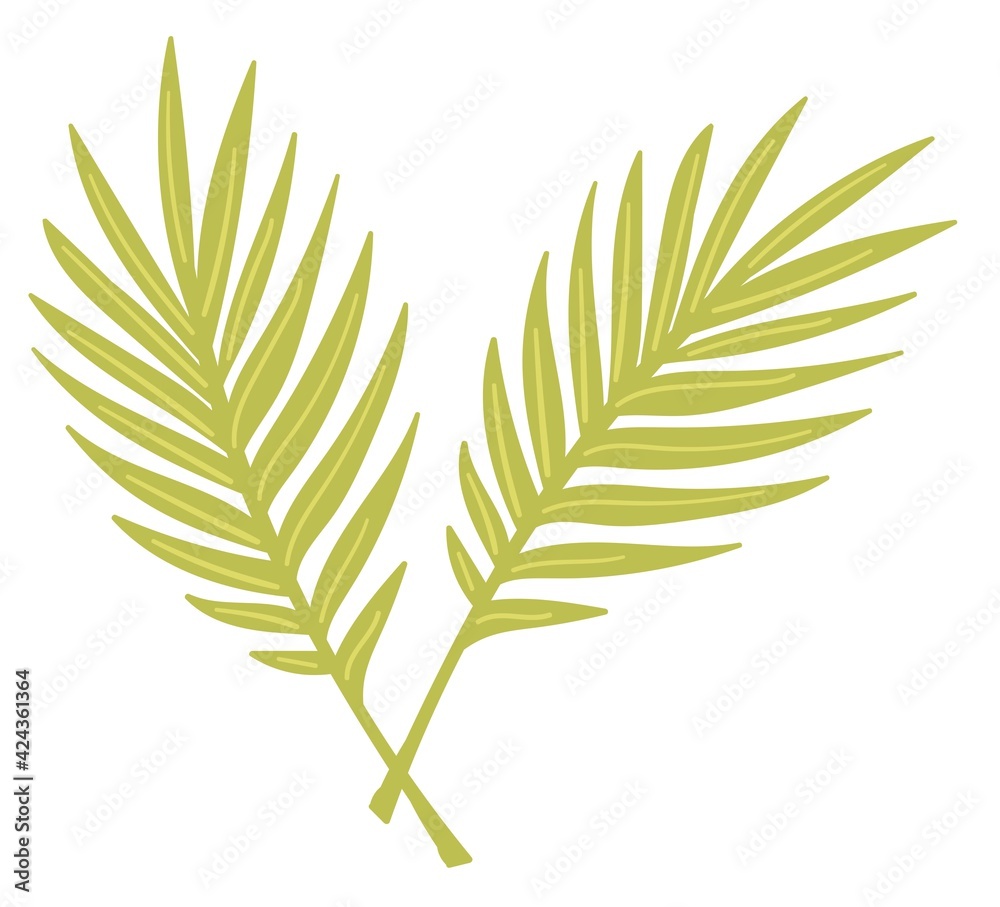 Naklejka premium Tropical leaves, exotic foliage and decor vector