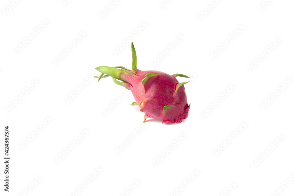 red rose isolated on white background red rose isolated on white background