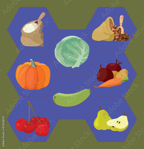 cabbage, vegetabbles, cherry, groats, semolina, pumpkin, pear. Food ingredients cabbage on colorful background. Nature illustration. Healthy meal.