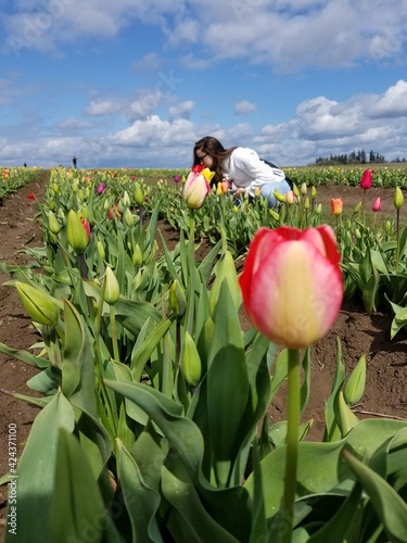Smell the tulips